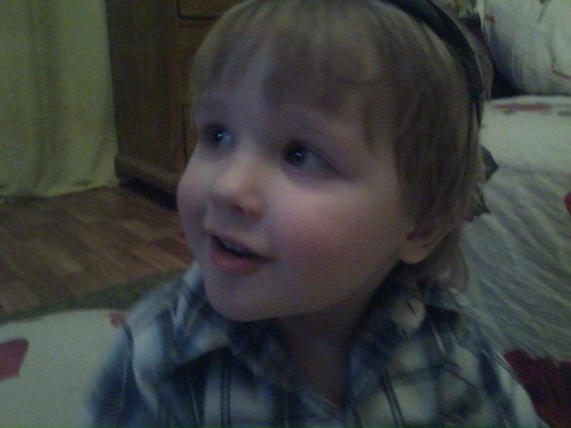 Светлана Балашова | Борок