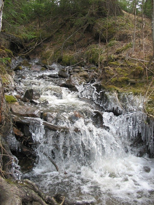 Денис Чистяков Владимирович | Трехгорный