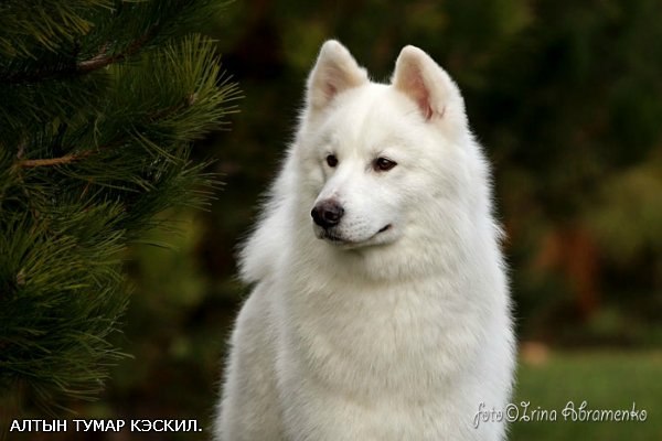 Владимир Курляндский | Rio de Janeiro