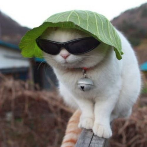 Хороший Друг | Москва