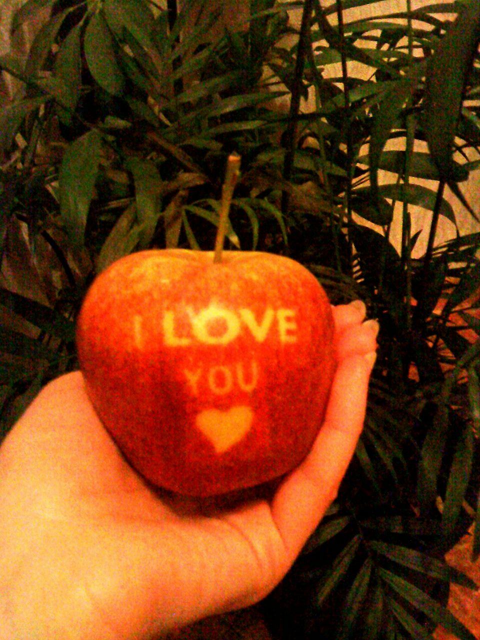 Елена Князева | Сочи