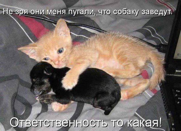 Денис Орёл ╭∩╮（︶︿︶）╭∩╮ | Казахстан