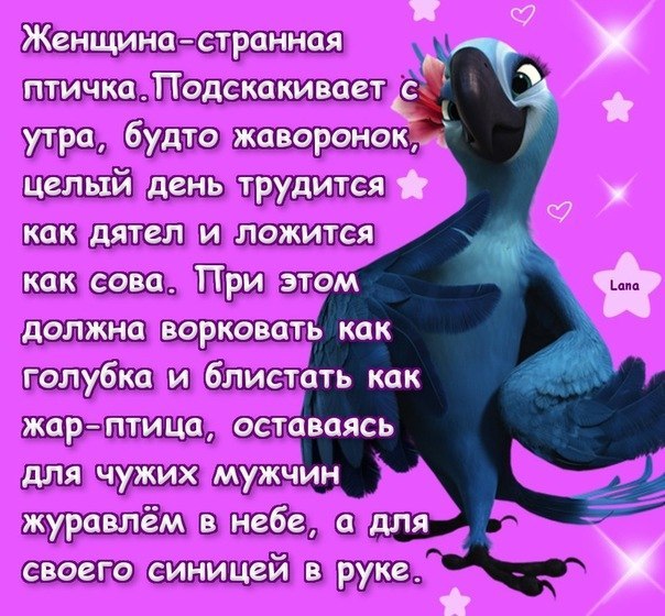 Юлия Шатц | Санкт-Петербург