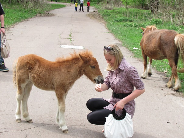 №11, Виктория Охрименко, 38 лет, Чернигов №11, Виктория Охрименко, 38 лет, Чернигов