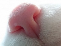 №17, Иван Малашенко, 38 лет №17, Иван Малашенко, 38 лет