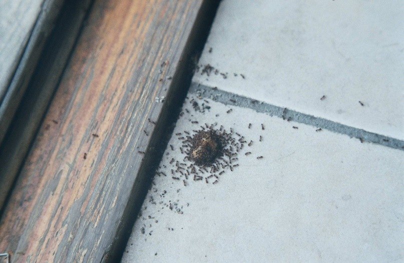 Екатерина Ушакова | Киев