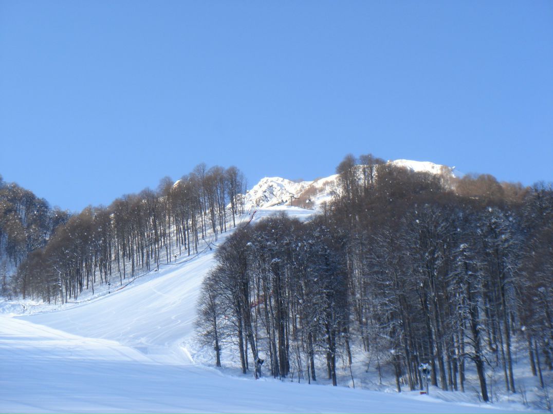 Виктор Леший | Сочи