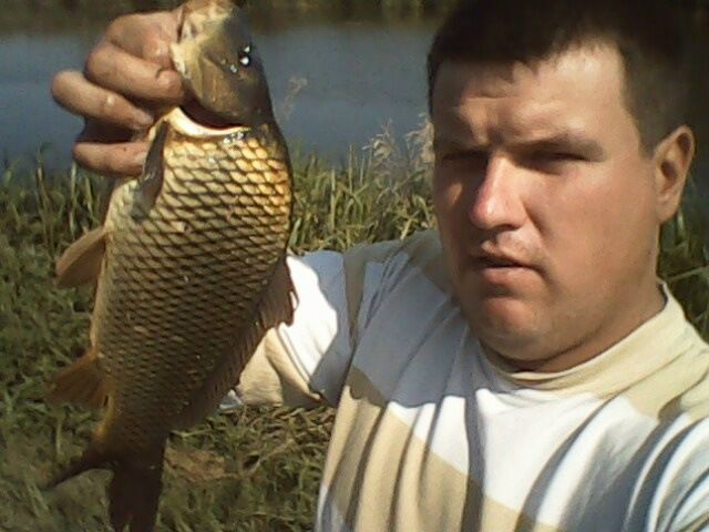 №97, Тарас Лукашук, Рогатин №97, Тарас Лукашук, Рогатин