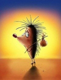 Виктория Федоткина | Калининград