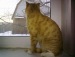 Акадий Укупник фотография #37