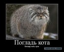 Фотография Саша Зыганшин