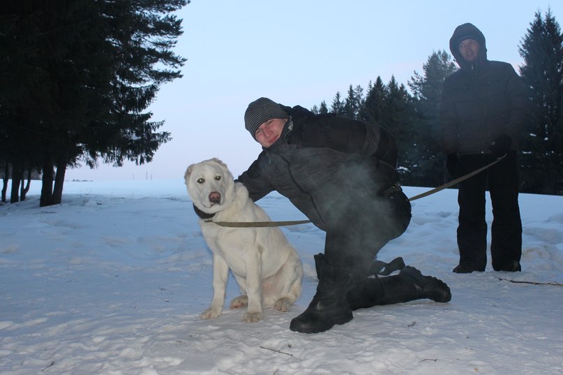 Лев Скобелев Львище™ | Ижевск