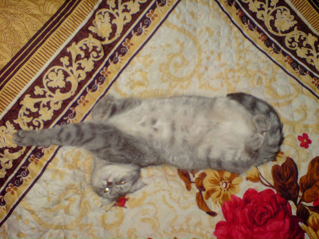 Серёга Посников Marlon Brando | Санкт-Петербург