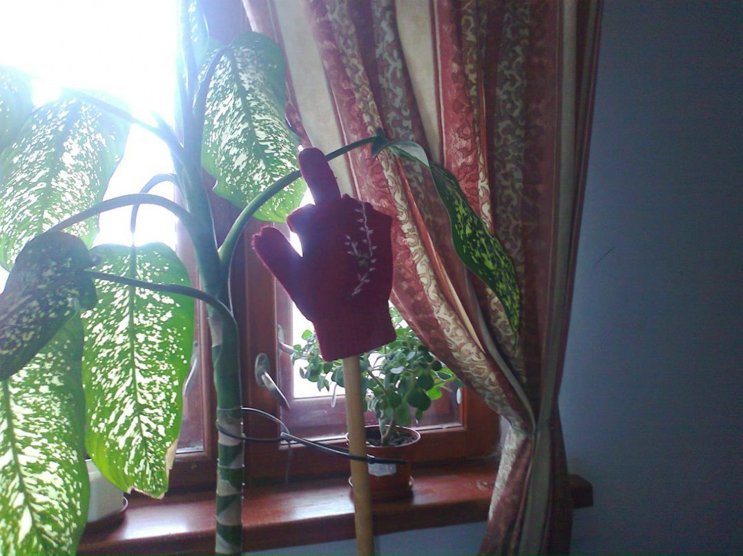 Olja Noname | Киев