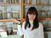 №18 Екатерина Жинжило 11.08.1993: профиль, фото, статус - ВКонтакте №18 Екатерина Жинжило 11.08.1993: профиль, фото, статус - ВКонтакте