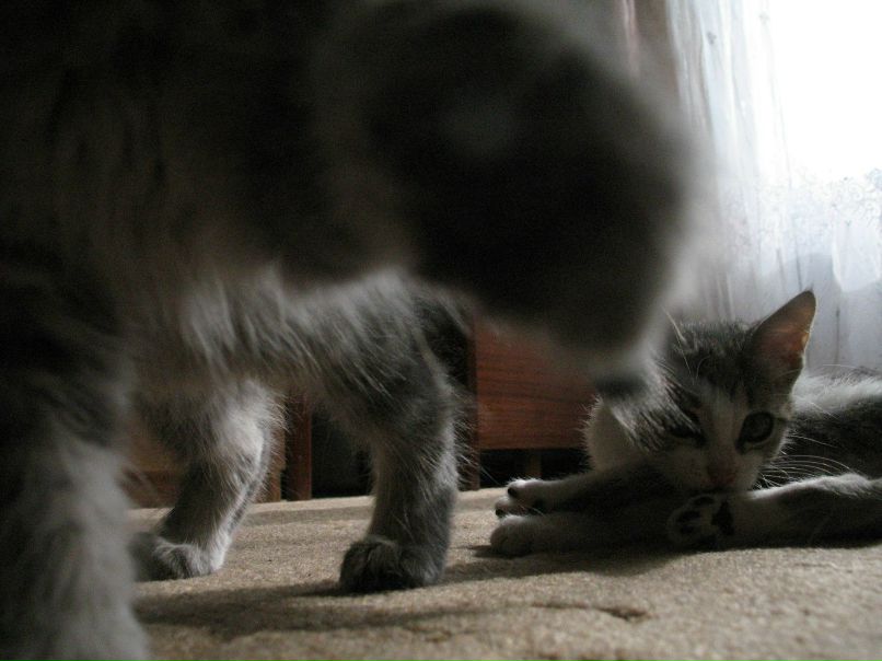 Irina Novik | Санкт-Петербург