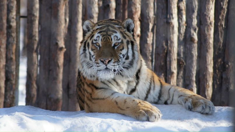 Максим Бутеев Сергеевич | Хабаровск