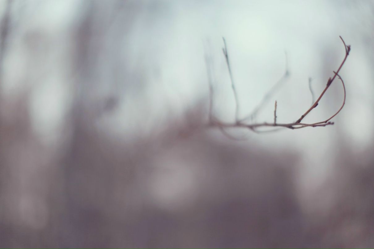 Инна Макеенко | Москва