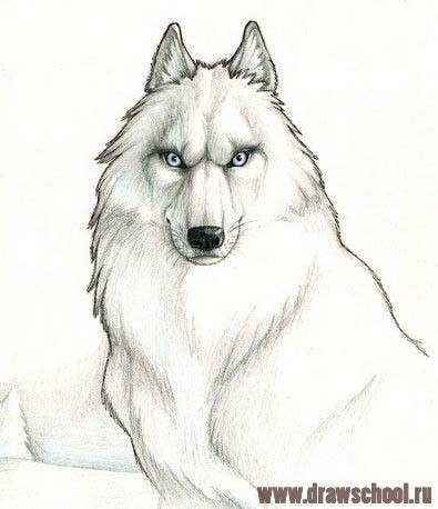 Настенька Любовь %**Я-ТвОй НаРкОтИк,КоТиК**% | Ульяновск