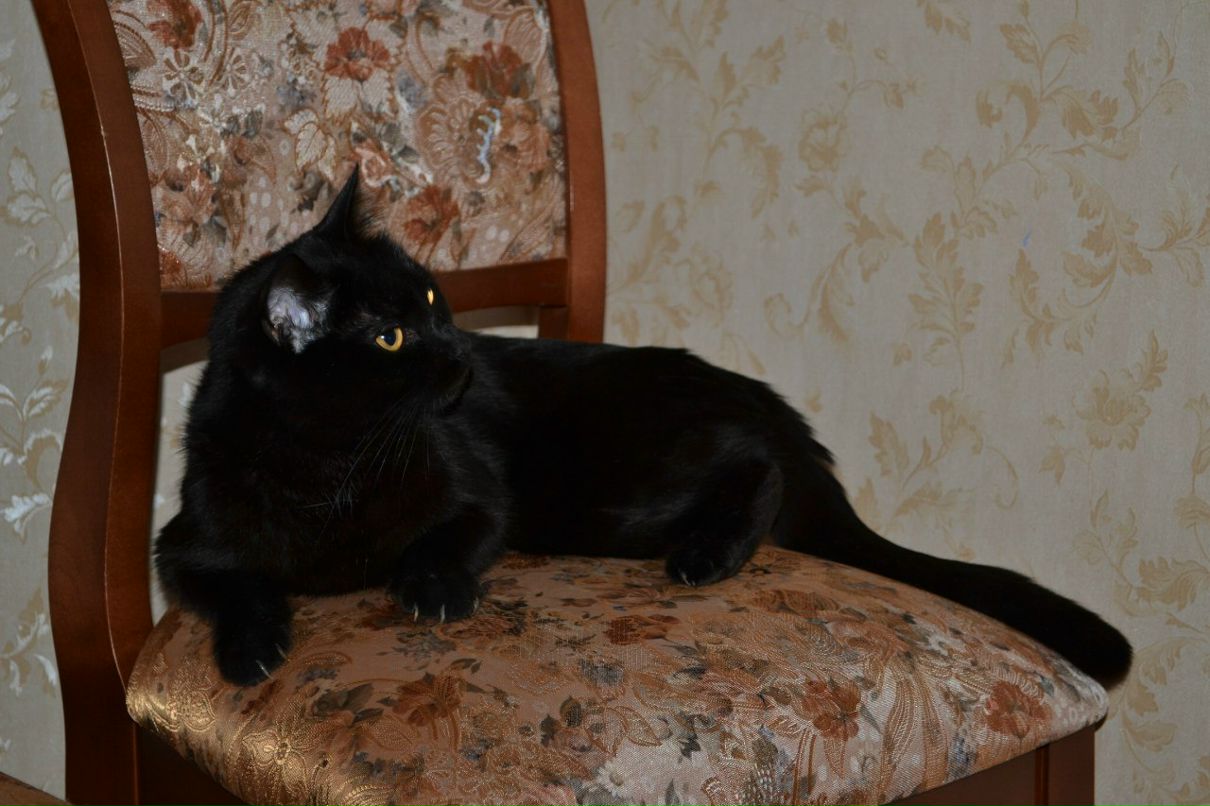 Елена Королькова | Волгоград