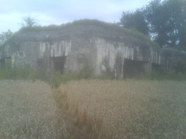 Владимир Бардашевич | Почеп