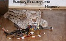 Фотография )) Рыськи