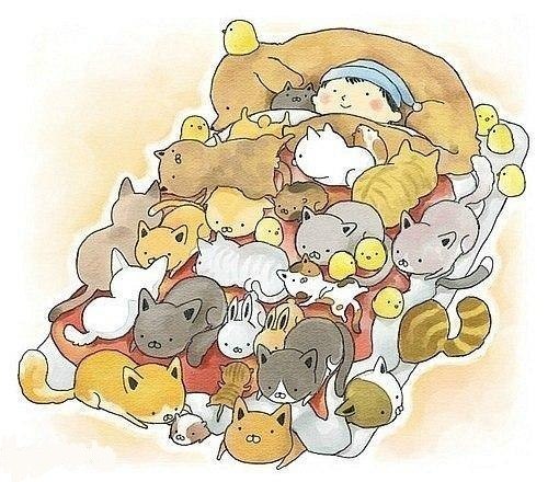 Данил Михеев ▲ | 