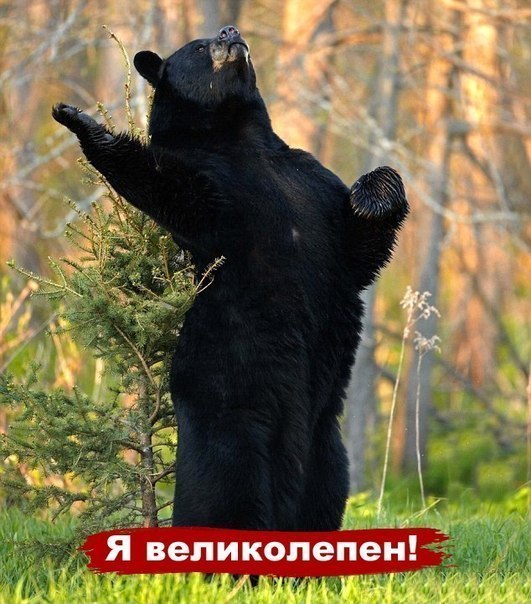 Илья Александрович | 