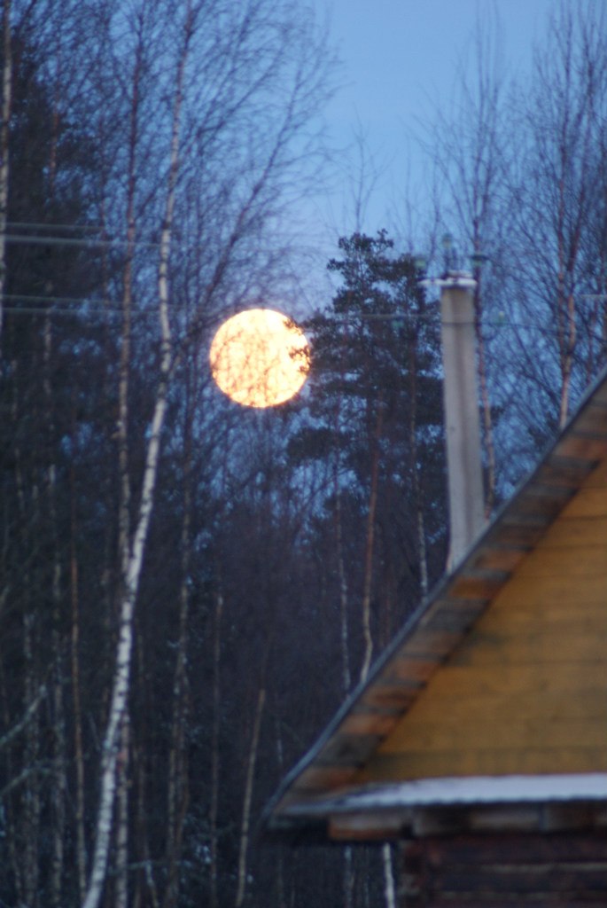 Светлана Ершова | Санкт-Петербург