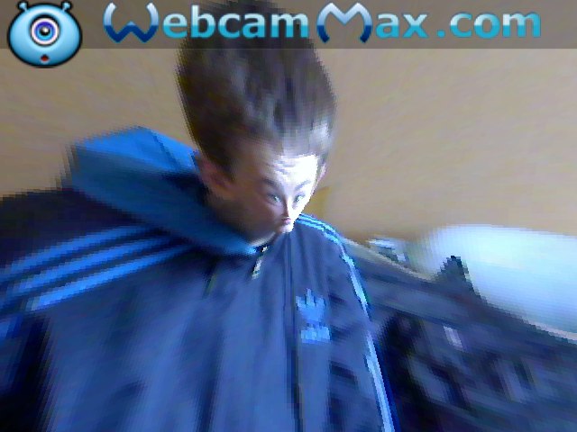 Дима Дубовый | Буча