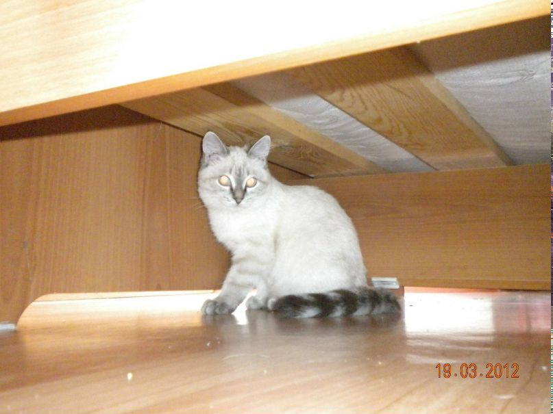 Александр Попов AvengeR | Еманжелинск