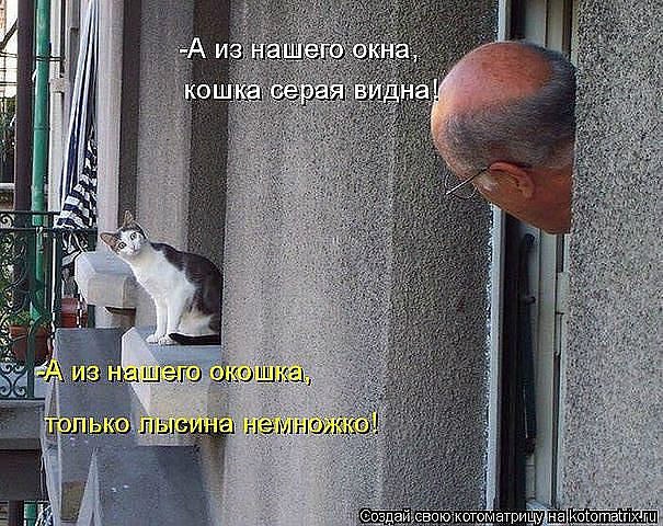 Ольга Джига | Киев