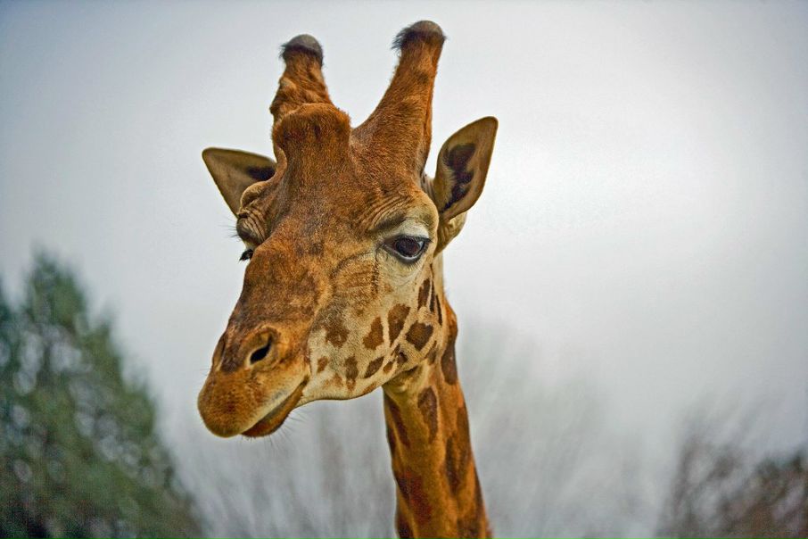 №10, Анна Кудряшова №10, Анна Кудряшова