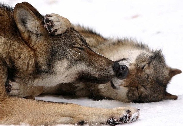 №68, Татьяна Вековшинина, 31 год, Пермь №68, Татьяна Вековшинина, 31 год, Пермь