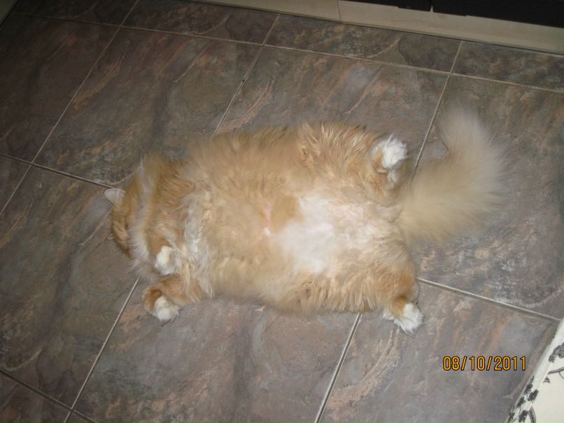 Лена Елина Больше в альбоме | Санкт-Петербург