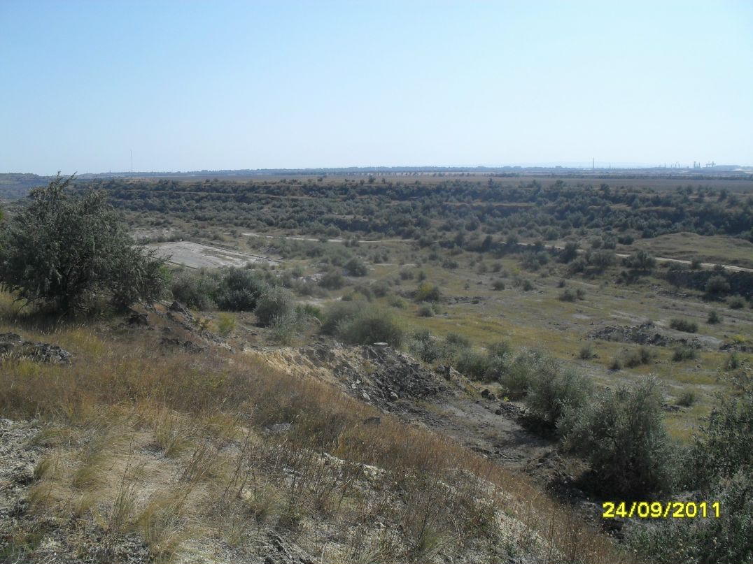 Богдан Боцуляк | Гнивань