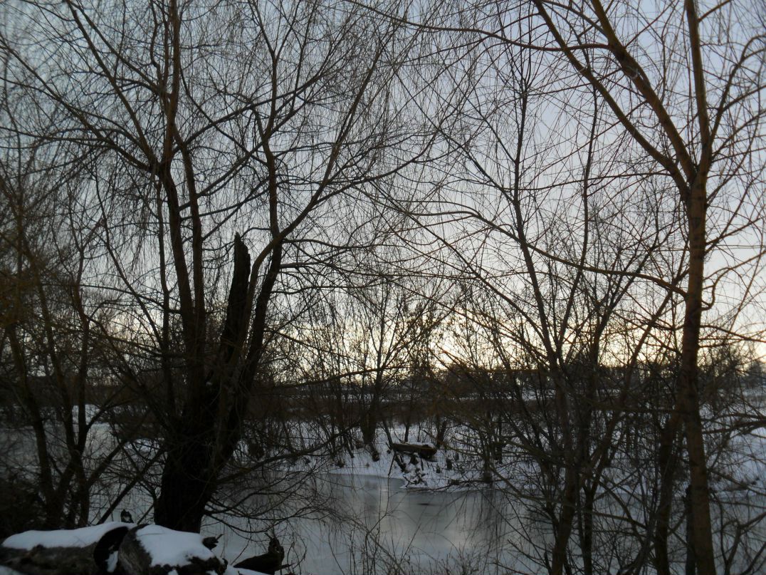 Виктория Фитилёва | Харьков