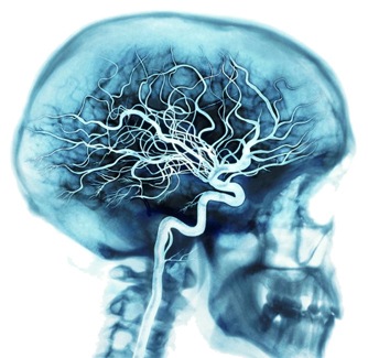 №66, Никита Совершаев, Сыктывкар №66, Никита Совершаев, Сыктывкар
