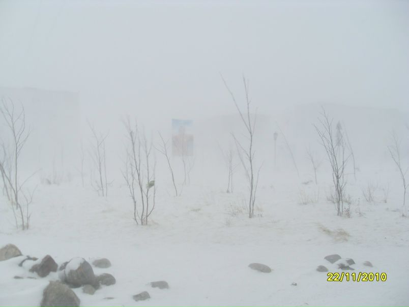 №1, Александра Осипова, 43 года, Видяево №1, Александра Осипова, 43 года, Видяево