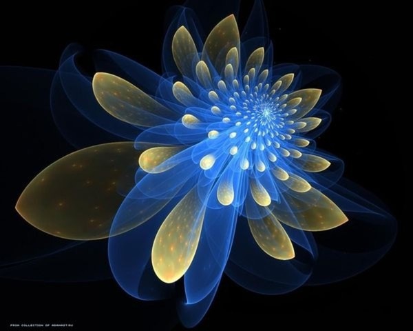 №7, Юрий Sky №7, Юрий Sky