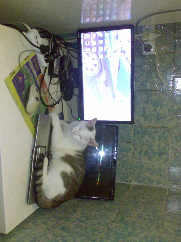 Тарлан Миркамиров Миркамирович | Санкт-Петербург