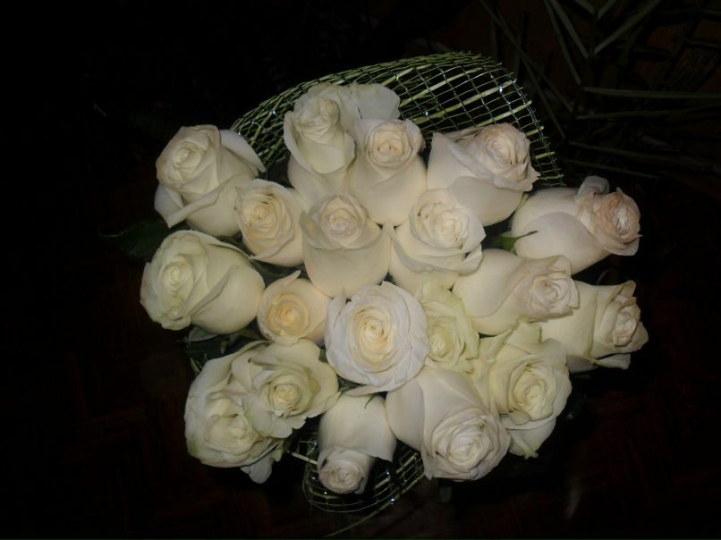 Оля Яцюк | Деражня