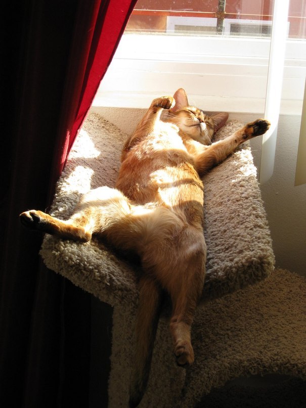 Костя Орленко фотограф | São Paulo