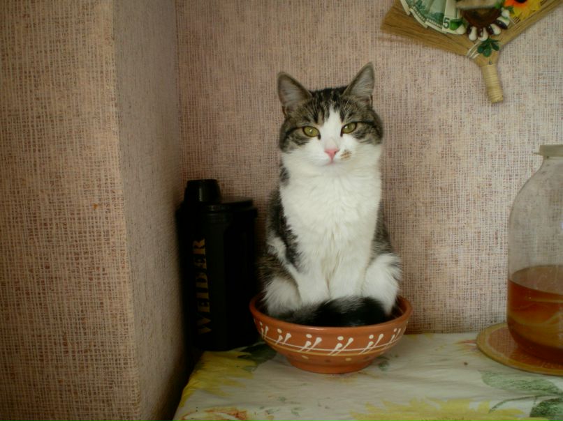 Татьяна Лукинская | Северодвинск