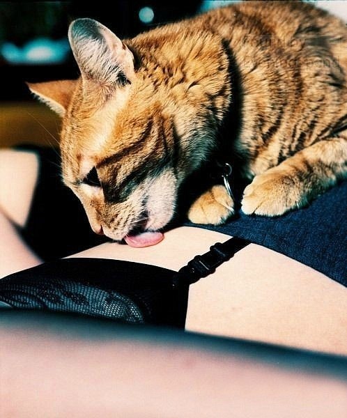 Хуйка Хуйка ♥ | Киев