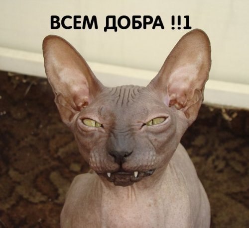 Дмитрий Онищенко | Мариуполь