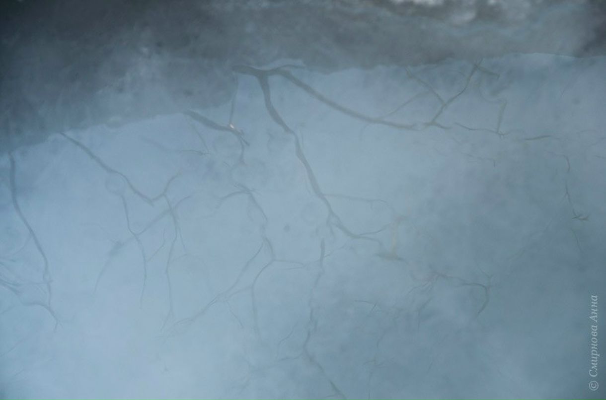 Анна Смирнова | Екатеринбург