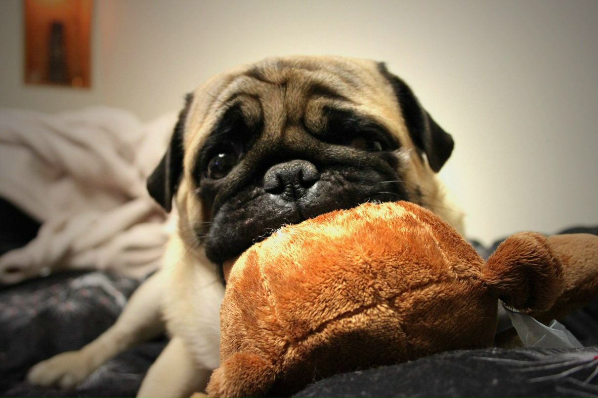 Артем Семиволос | 