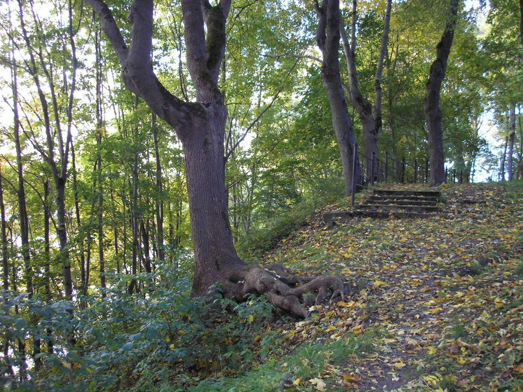 Елена Бакулина Владимировна | Нарва