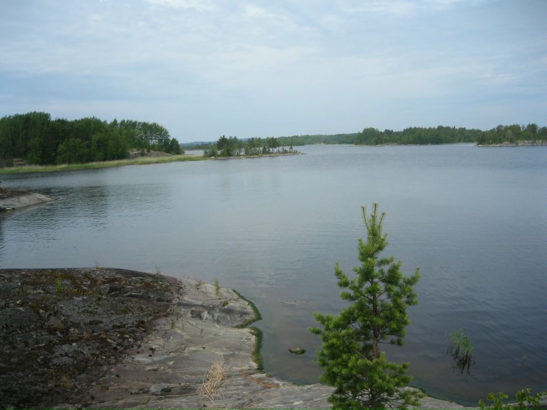 Ирина Миронович | Петрозаводск